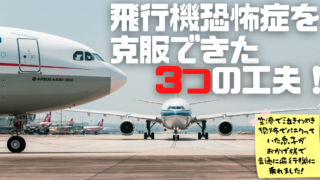 飛行機恐怖症を克服 飛行機嫌いな小学生が恐がらず搭乗できた３つの工夫 発達障害児の子育てブログ